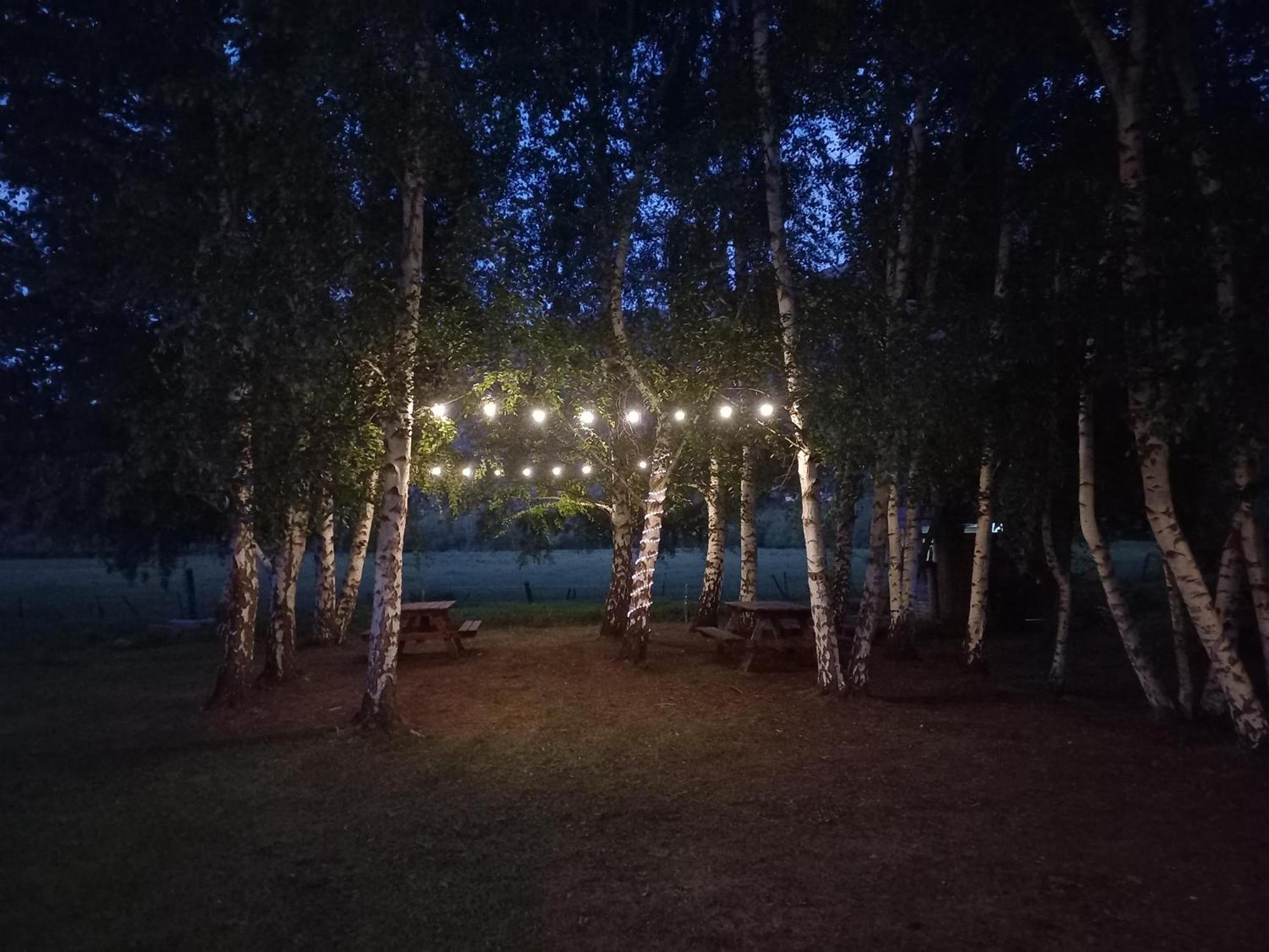 Hostel Lc Hoyo de Epuyén Dış mekan fotoğraf